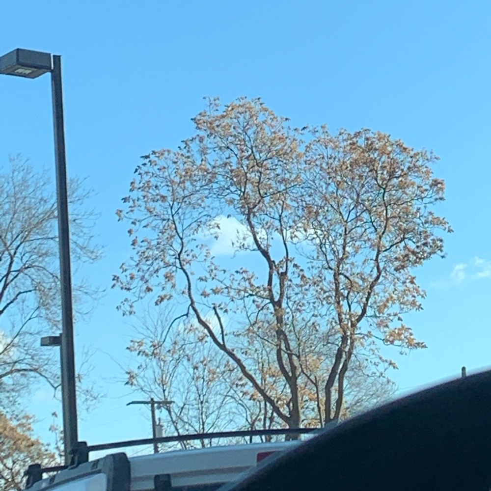 Meet your Posher, Adam